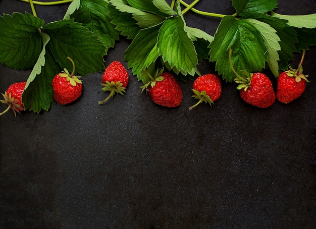 Fraises et feuilles mûres sur fond noir. Vue de dessus