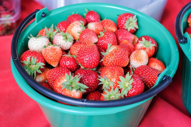 Fraises fraîches sur l'arbre, rouge Baies mûres dans un panier vert.