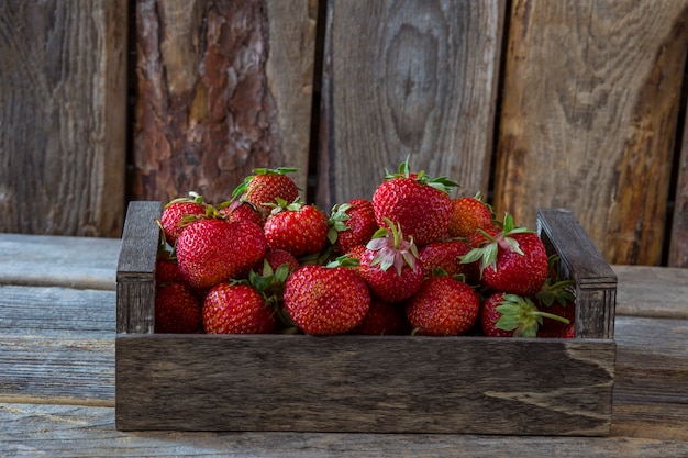 Fraises fraîches dans une boîte en bois