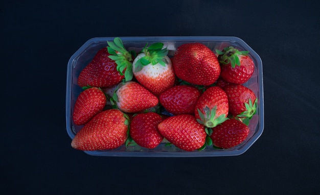 Fraises fraîches dans un bol en plastique