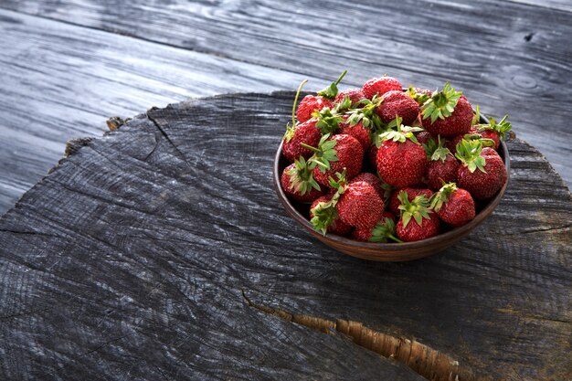 Fraises fraîches dans un bol