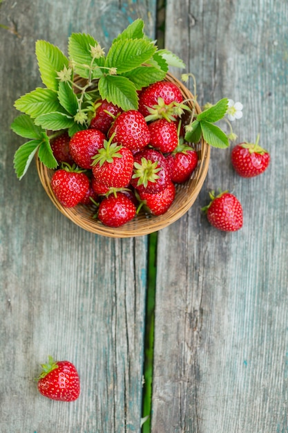 Fraises fraîches dans un panier sur la vue de dessus de mur en bois rustique. Une alimentation saine sur une maquette de table en bois. Mur de baies délicieuses, sucrées, juteuses et mûres avec espace de copie pour le texte.