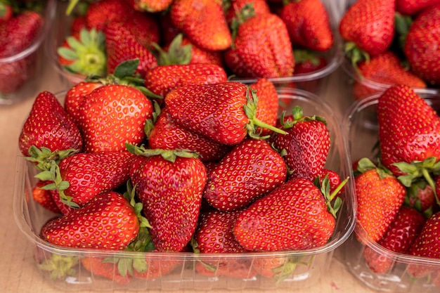 Fraises fraîches juteuses au marché fermier dans des contenants en plastique