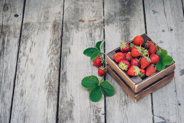 Fraises fraîches juteuses avec des feuilles. Boîte en bois rustique et dentelle artisanale. Photo de magazine rétro. Fraise avec espace copie.