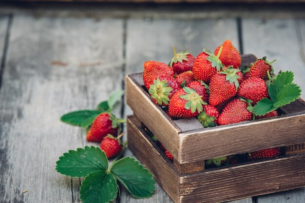 Fraises fraîches juteuses avec des feuilles. Boîte en bois rustique et dentelle artisanale. Photo de magazine rétro. Fraise avec espace copie.