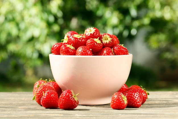 Fraises fraîches mûres dans un bol sur fond de jardin. Vue de dessus