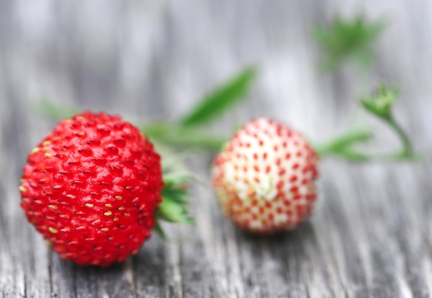 Fraises fraîches mûres et vertes sur une surface en bois