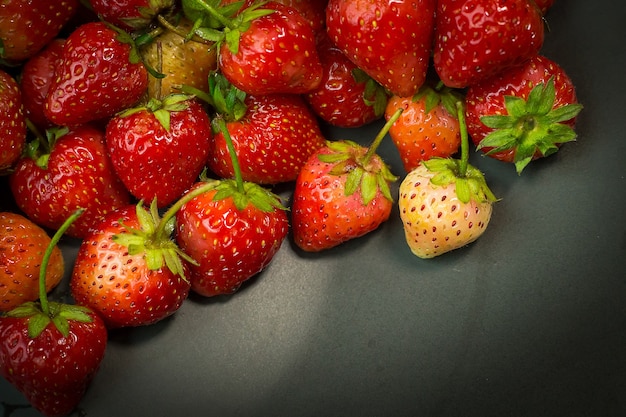 fraises fraiches