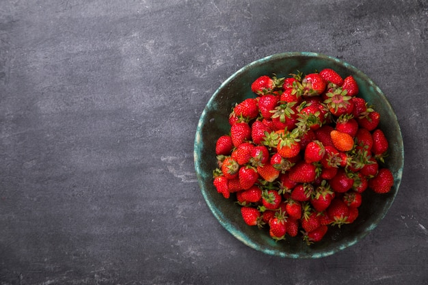 Fraises fruits