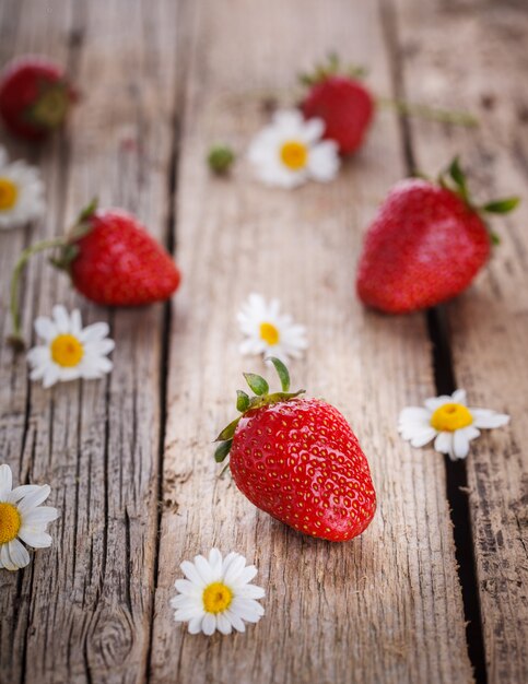 Photo fraises fruits