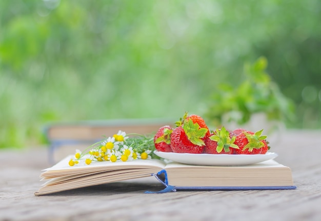 Fraises mûres et bouquet de camomille sauvage sur les pages d'un livre ouvert dans le jardin