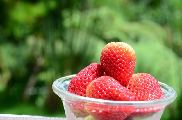 Fraises mûres dans un bol en verre.