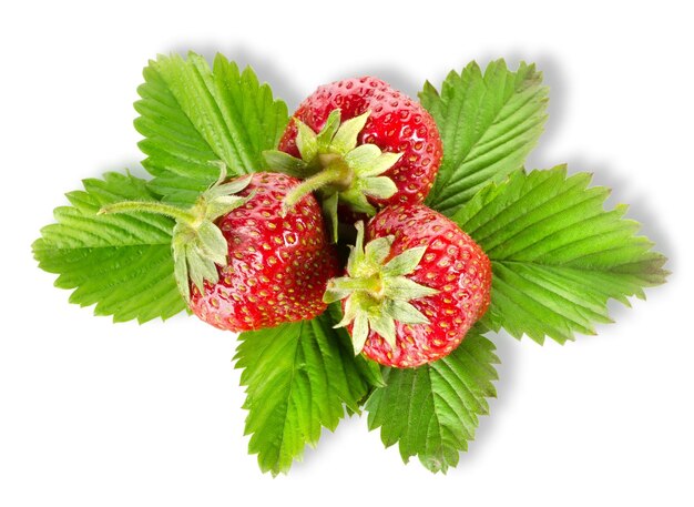 Fraises mûres avec des feuilles isolées sur fond blanc