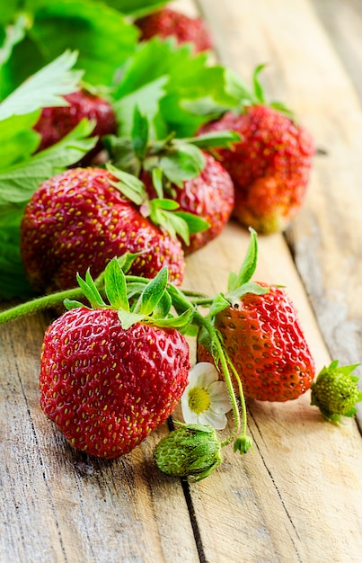 Fraises mûres et fraîches sur une surface en bois