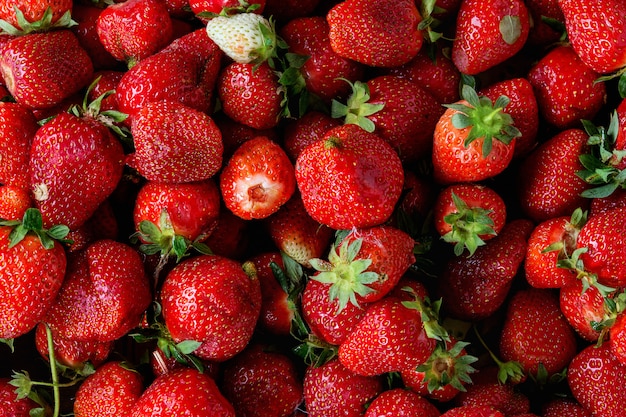 Fraises mûres fraîches