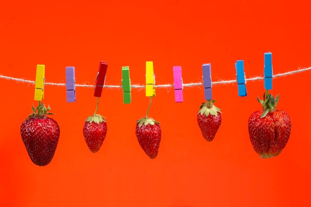 Fraises mûres sur des pinces à linge sur fond rouge