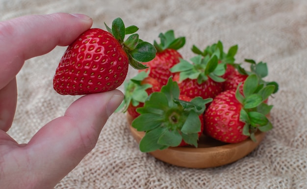 Fraises mûres sur sac