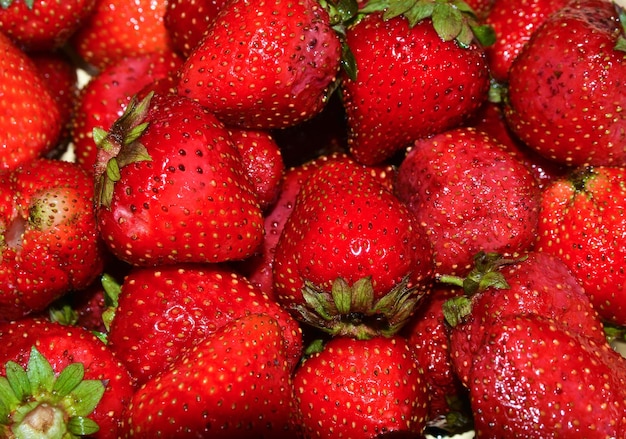 fraises mûres