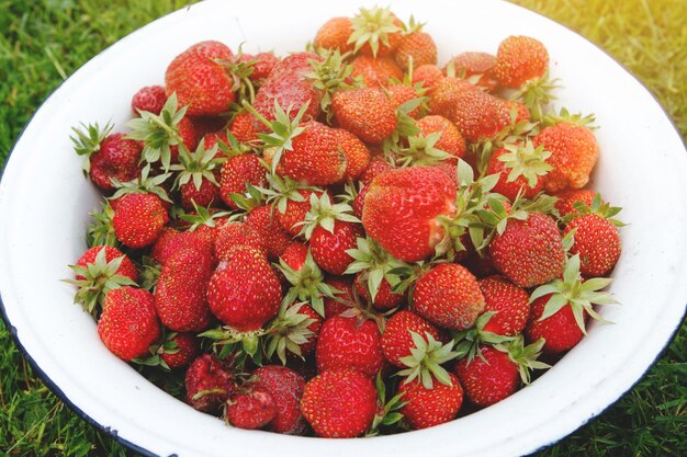 Fraises rouges dans un bol blanc. Alimentation naturelle, mode de vie sain.