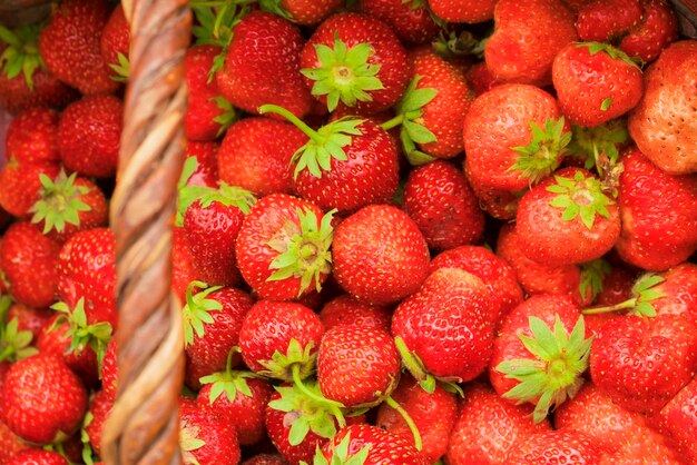 Fraises rouges mûres dans un fond de panier