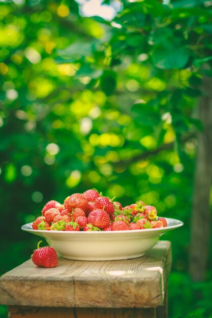 Fraises savoureuses sur assiette dans le jardin