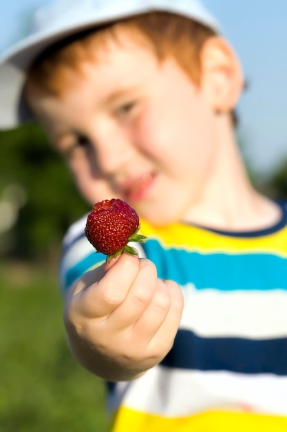 fraises sucrées rouges dans les mains d'un garçon, gros plan de bonbons dans les mains d'un enfant