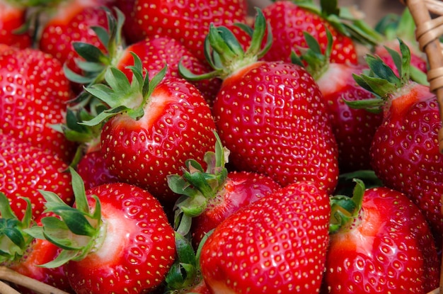 Photo fraises