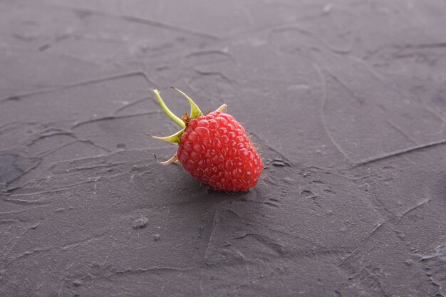 Une framboise sur un beau mur texturé en béton foncé.