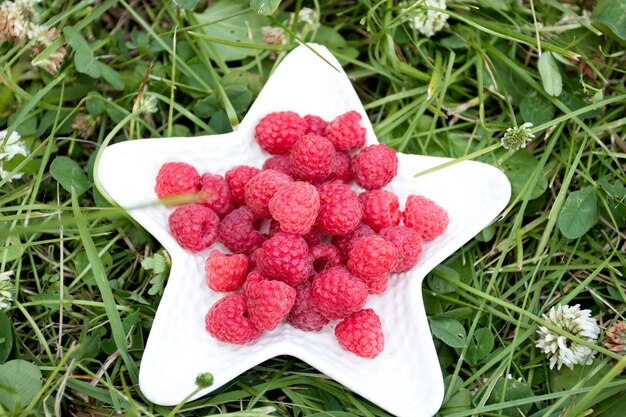 Framboise fraîche mûre en plaque de Pentecôte sur l'herbe