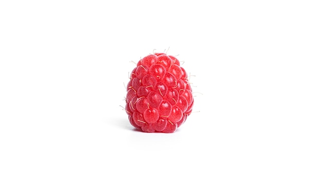 Framboise isolée. Framboises