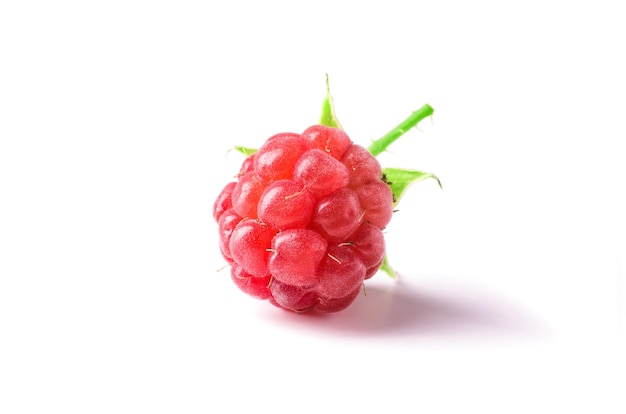 Framboise juteuse mûre isolé sur fond blanc