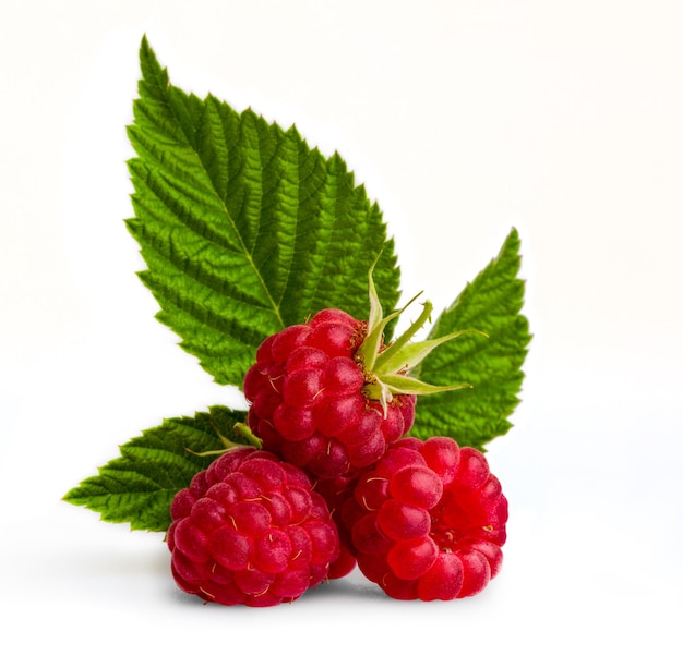 Framboise mûre avec feuille