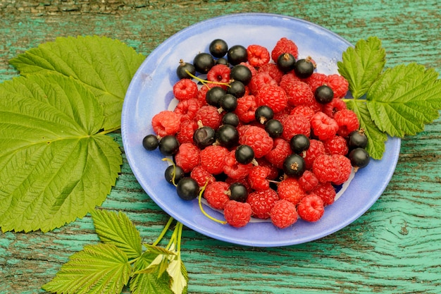 Photo framboise et mûre