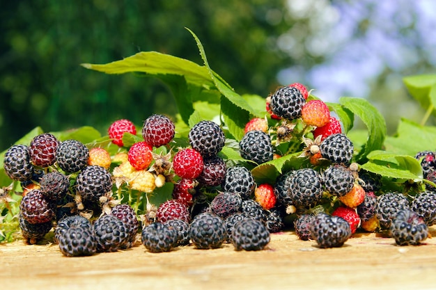 framboise noire avec baies et feuilles sur fond de bois clair