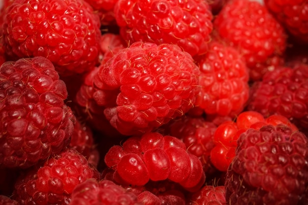 Framboise