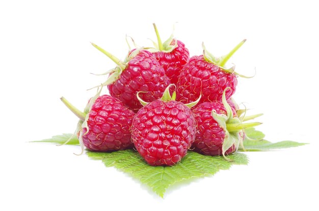 Framboise