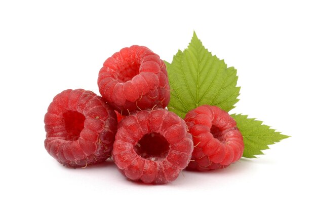 Framboises close up detail isolated