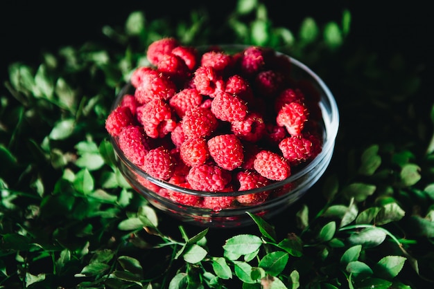 Framboises dans un bol en verre avec des brindilles et des feuilles