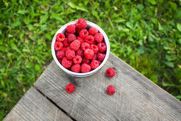 Framboises sur fond de nature