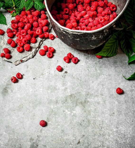 Framboises fraîches dans le vieux pot. Sur un fond de pierre.