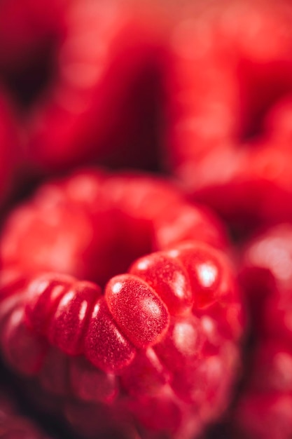Photo framboises fraîches macro près de fruits antioxydants