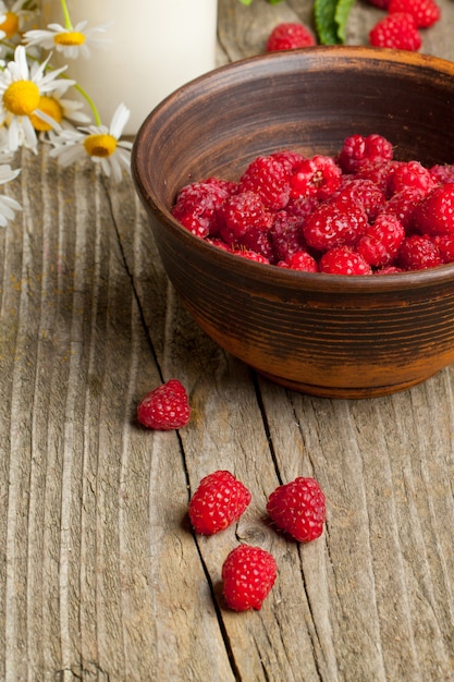 Framboises fraîches et mûres