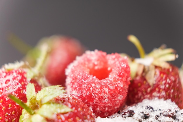 Framboises fraises et mûres saupoudrées de sucre