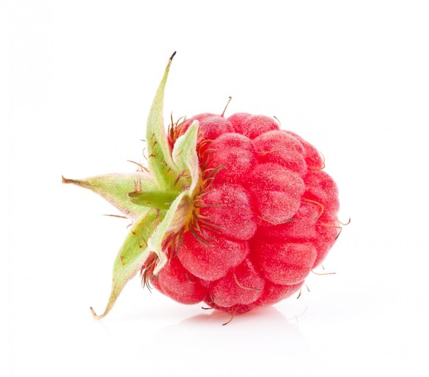 Framboises, isolé, blanc