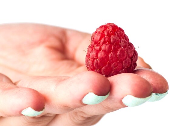 framboises mûres sur la main en gros plan