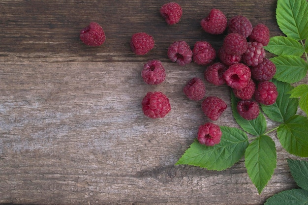 Framboises mûres sur une table en bois