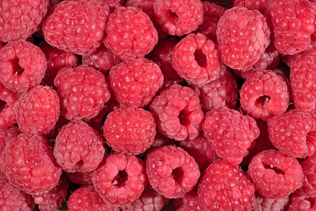 Framboises rouges comme texture de fond