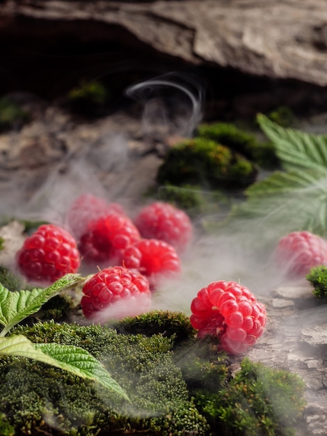 Les framboises se trouvent sur la mousse et l'écorce avec de la fumée autour