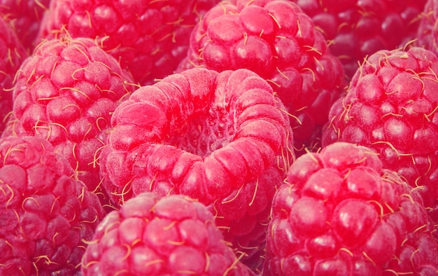 Framboises