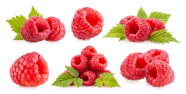 Framboises